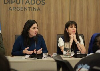 Diputadas de Unión por la Patria convocaron a jóvenes de todo el país para abordar la Salud Mental en las escuelas