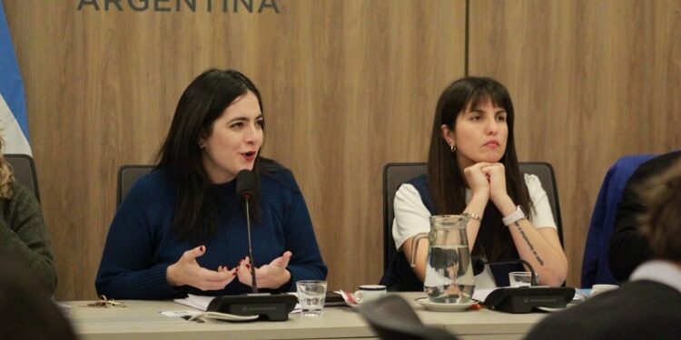 Diputadas de Unión por la Patria convocaron a jóvenes de todo el país para abordar la Salud Mental en las escuelas