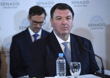 Adorni presentó su declaración jurada después de adherirse a Inocencia Fiscal que le permite omitir información