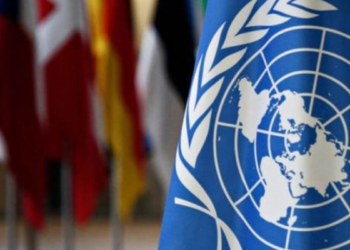 Argentina saldó su deuda con la ONU y busca fortalecer la candidatura de Rafael Grossi