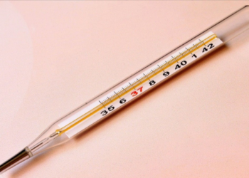 Chau termómetro: el MIT creó una píldora que mide la temperatura desde el interior del cuerpo