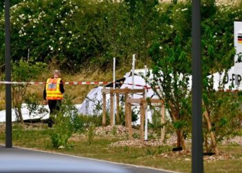 Conmoción en Francia: al menos 11 muertos tras la caída de una avioneta que transportaba paracaidistas
