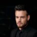 Giro en la causa por la muerte de Liam Payne: la Justicia decretó quién se quedará con su fortuna