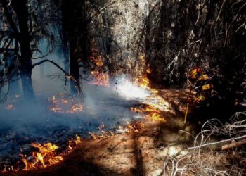 Confirmado: los incendios forestales alteran la calidad del agua en la Patagonia
