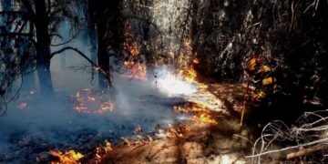 Confirmado: los incendios forestales alteran la calidad del agua en la Patagonia