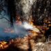 Confirmado: los incendios forestales alteran la calidad del agua en la Patagonia
