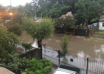 Denuncian que la constructora Sauber tomó un predio comunitario por la fuerza