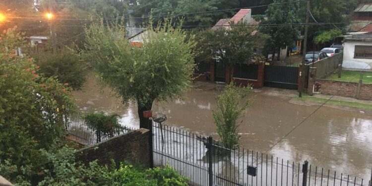 Denuncian que la constructora Sauber tomó un predio comunitario por la fuerza