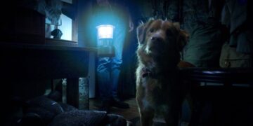El horror a través de una mirada diferente: la inquietante película de Prime Video que te va a volar la cabeza