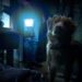 El horror a través de una mirada diferente: la inquietante película de Prime Video que te va a volar la cabeza
