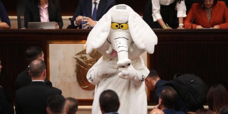 Elefante Blanco, el influencer anticorrupción que llegó al Congreso de Colombia