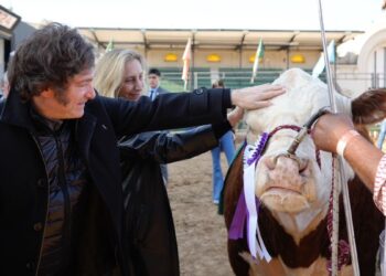 La agenda del Gobierno para esta semana: Javier Milei viajará a Brasil y participará de la apertura de la Rural el domingo