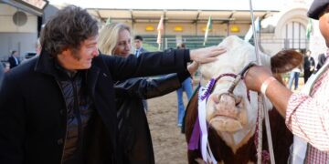 La agenda del Gobierno para esta semana: Javier Milei viajará a Brasil y participará de la apertura de la Rural el domingo