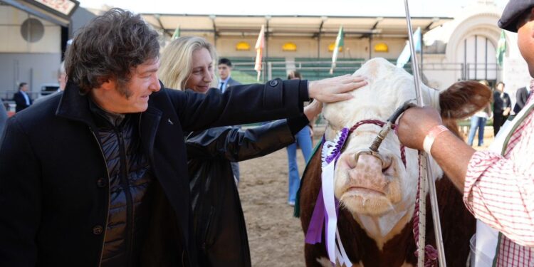 La agenda del Gobierno para esta semana: Javier Milei viajará a Brasil y participará de la apertura de la Rural el domingo