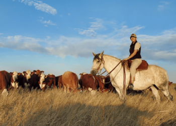 La nueva generación del campo: TikTok, apps y datos para transformar la producción ganadera