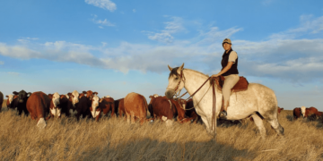 La nueva generación del campo: TikTok, apps y datos para transformar la producción ganadera