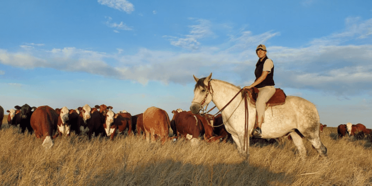 La nueva generación del campo: TikTok, apps y datos para transformar la producción ganadera