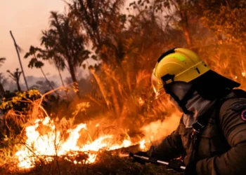 Violentos incendios arrasan Francia: más de 20.000 evacuados en lo que va del verano europeo