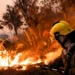 Violentos incendios arrasan Francia: más de 20.000 evacuados en lo que va del verano europeo