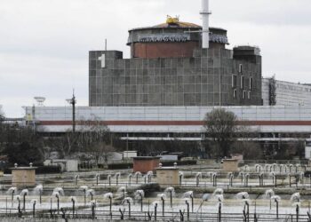 Alerta nuclear en Ucrania: Zaporiyia lleva más de una semana sin electricidad, advirtió la OIEA