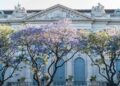 Glorias porteñas: edificios y árboles que invitan a redescubrir la historia urbana