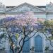Glorias porteñas: edificios y árboles que invitan a redescubrir la historia urbana