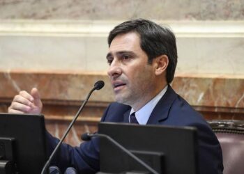 Grieta en el PRO por las negociaciones con LLA: el jefe del bloque en el Senado rechazó una alianza y defendió las PASO