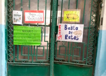 Jorge Macri se retira de sus responsabilidades y delega limpieza y cuidado de escuelas a familias y estudiantes