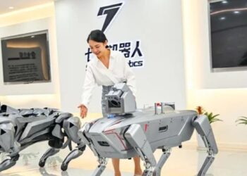 Los robots chinos enfrentan el desafío de su adopción en la industria