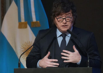 Milei ante empresarios: “Estamos pagando muy caro la locura de los pañuelitos verdes”