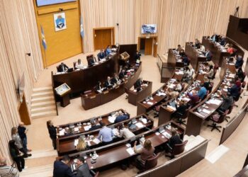Neuquén aprobó narcotest obligatorios para diputados y funcionarios