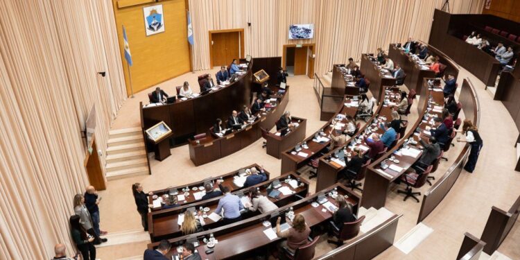 Neuquén aprobó narcotest obligatorios para diputados y funcionarios