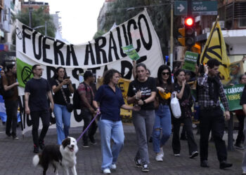 San Pedro: campesinos denuncian golpizas, amenazas y una escalada de violencia en tierras disputadas por Arauco