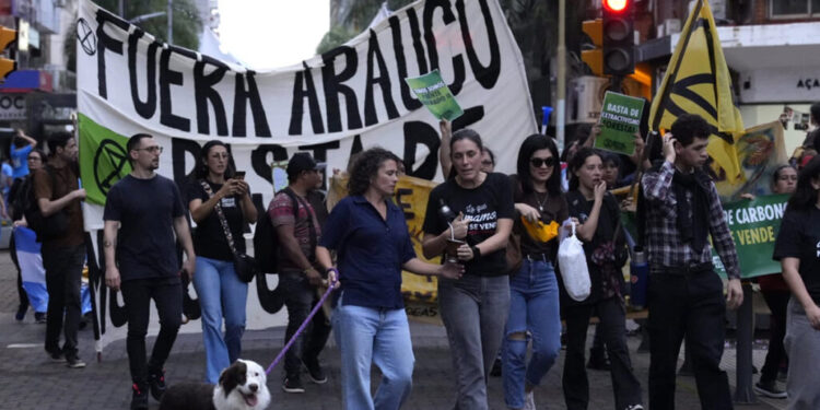 San Pedro: campesinos denuncian golpizas, amenazas y una escalada de violencia en tierras disputadas por Arauco