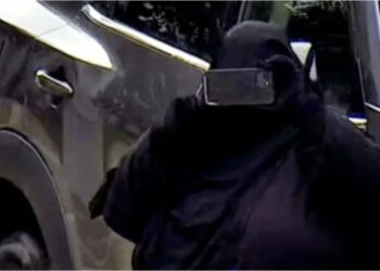 Una mujer fue detenida tras planear un ataque inspirado en ISIS contra el Capitolio de Nueva York