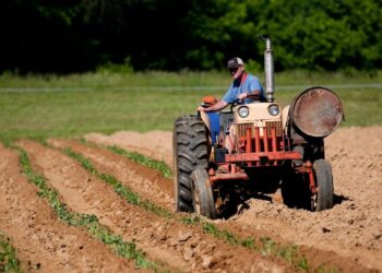 Campo: advierten que 120.000 puestos de trabajo están en peligro por el vencimiento de un decreto