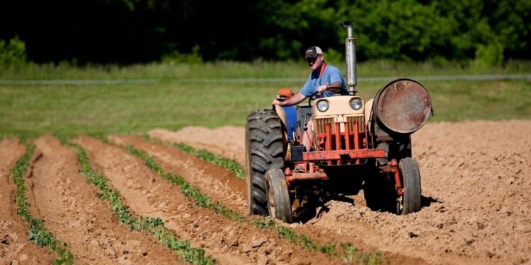 Campo: advierten que 120.000 puestos de trabajo están en peligro por el vencimiento de un decreto