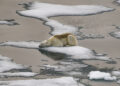 El planeta podría calentarse hasta un 30 por ciento más por los efectos del cambio climático