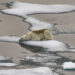 El planeta podría calentarse hasta un 30 por ciento más por los efectos del cambio climático