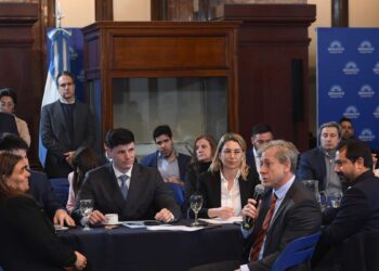 El Senado avanza con un nuevo régimen para las inversiones, esta vez con impulso radical