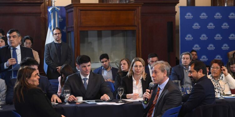 El Senado avanza con un nuevo régimen para las inversiones, esta vez con impulso radical