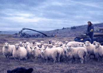Estrenos de la semana: documentales sobre Malvinas y Fito Páez y “Pepita la pistolera”