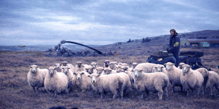 Estrenos de la semana: documentales sobre Malvinas y Fito Páez y “Pepita la pistolera”