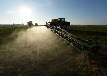 Investigó la presencia de agrotóxicos en el país y ahora la quieren echar del INTA: «Con la exoneración me quitan mi identidad»
