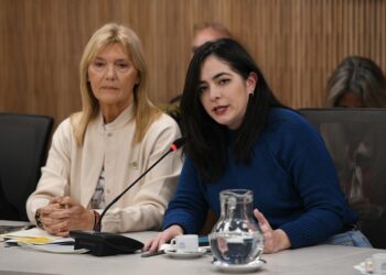 Julieta Campo exige que se trate en diputados la ley que da salida a 170 mil chaqueños asfixiados por deudas