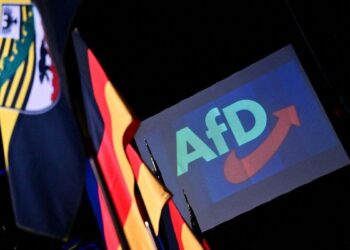 Nacionalismo, inmigración y sintonía con Putin: AfD, el partido alemán de ultraderecha que busca romper con Europa