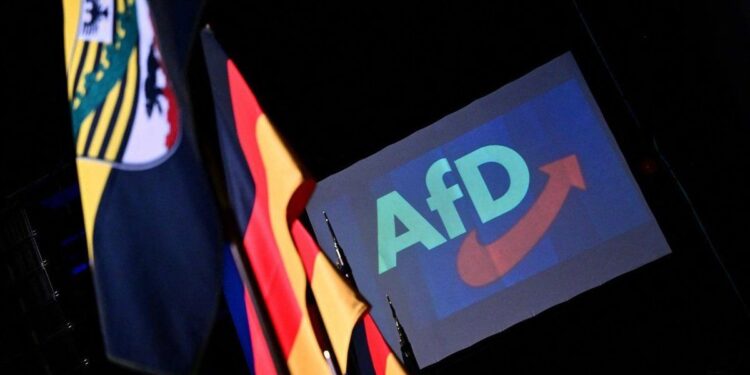 Nacionalismo, inmigración y sintonía con Putin: AfD, el partido alemán de ultraderecha que busca romper con Europa