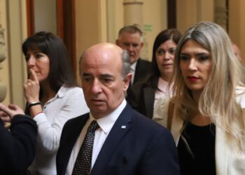 Diputado libertario se justificó por visitar detenidos por la dictadura: “Es de gente de fe acompañar a los enfermos”