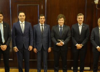 Javier Milei, entre los gobernadores y la tropa propia: las tensiones que complican el armado de 2027