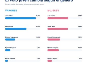 Las razones del sostenido rechazo que provoca Milei en el electorado femenino